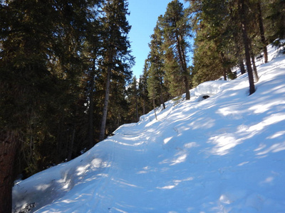 一个美丽的 skitouring 在冬天阿尔卑斯在奥地利