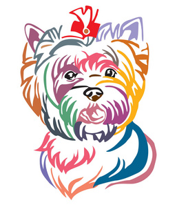 彩色的狗约克郡小猎犬的装饰肖像, 矢量插图不同的颜色隔离在白色背景。设计和纹身图像