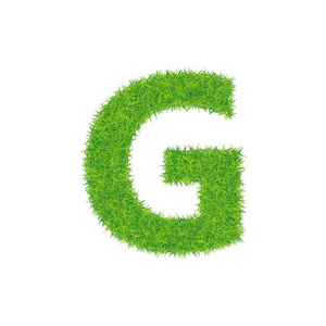 在白色背景上的绿草字母 g