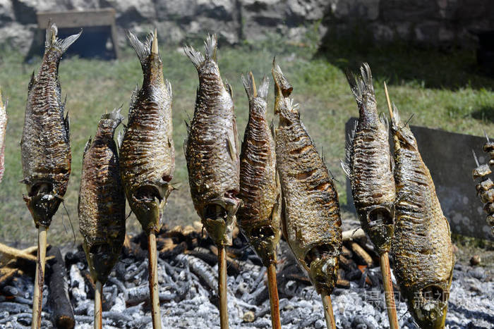 鲤鱼在野餐中被烤成篝火