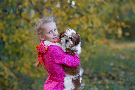 可爱的女孩拥抱小狗石慈图片
