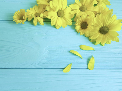 蓝色木质背景上的黄色花朵