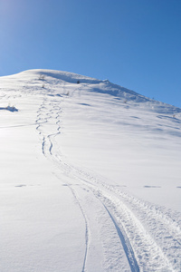 享受粉雪