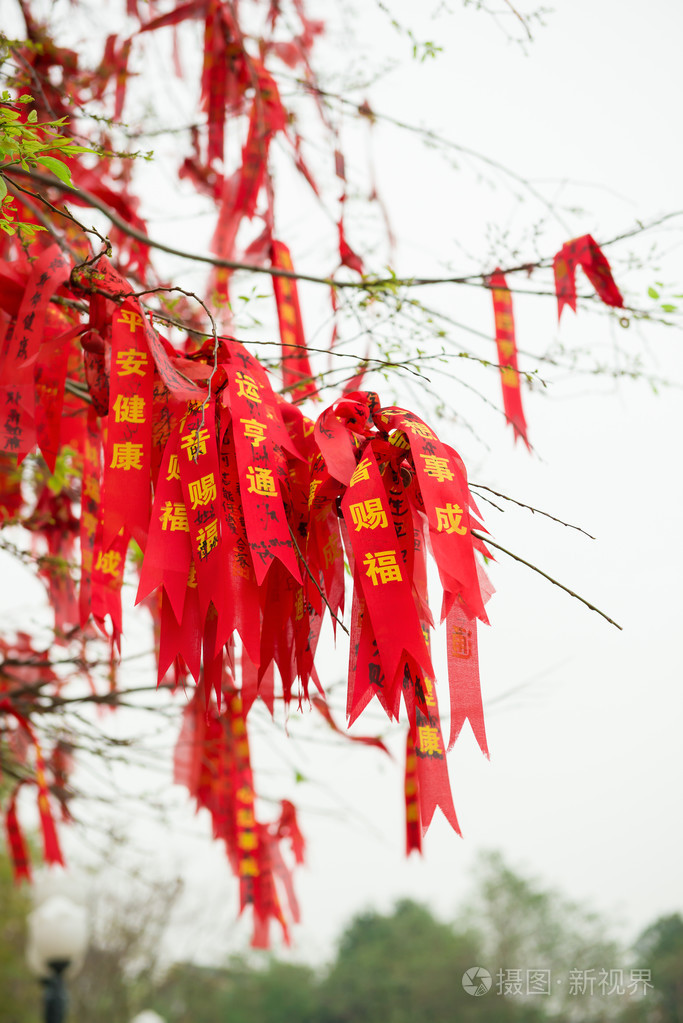 大量的许愿祝福树上挂着的丝带