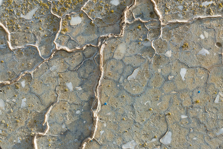 石岩石板纹理混凝土覆盖地衣和苔藓