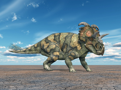 恐龙 albertaceratops