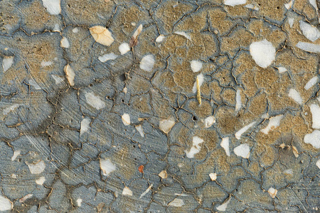 石岩石板纹理混凝土覆盖地衣和苔藓