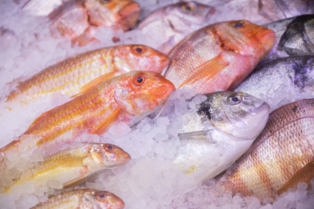 新鲜的生鱼五花八门 红海低音鱼, 订购并放在冰里, 准备做饭, 在餐馆或市场的陈列柜里