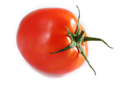 西红柿是水果