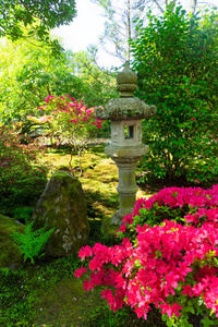 海牙日本花园