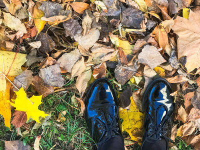在美丽的黑色皮革光滑光滑的鞋在黄色和红色, 褐色的自然秋天叶子的脚