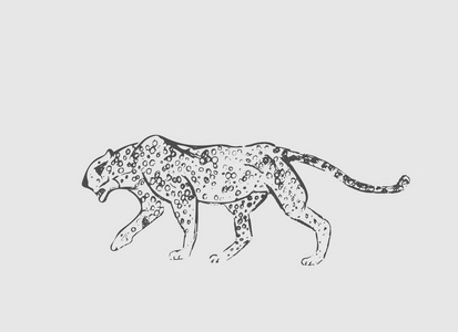 猎豹。手绘墨水素描。水平绘图。矢量雕刻。捕食者线艺术。在浅灰色背景下隔离的黑线插图