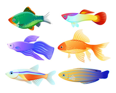 水族馆鱼特别是卡通插图集