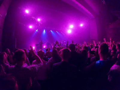 现场演唱会观众欢呼照片