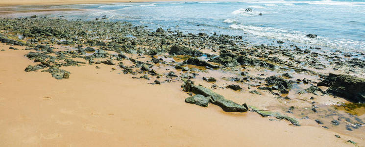 海岸线上有小咸水池的砂砾石图片
