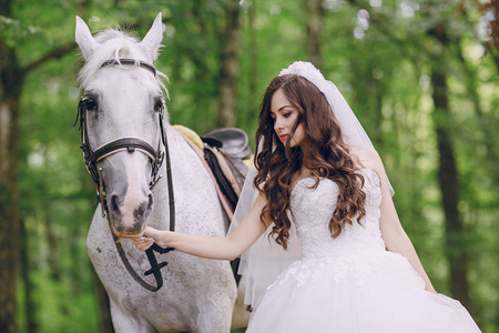 马的新娘