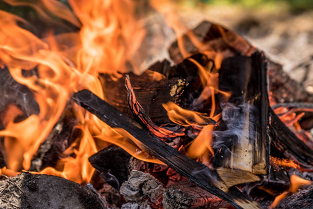 集中燃烧的木头从前面看照片