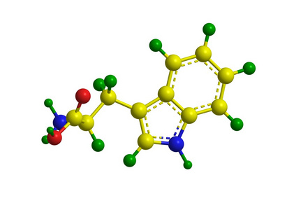 分子的色氨酸照片