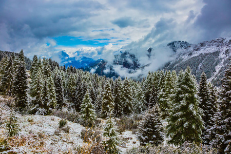 山谷中常绿的森林覆盖着第一场雪。新的一年即将到来。在高山通行证阮文饶白云岩第一雪下跌