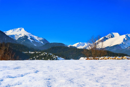 索非亚的房屋和山脉全景图, 保加利亚