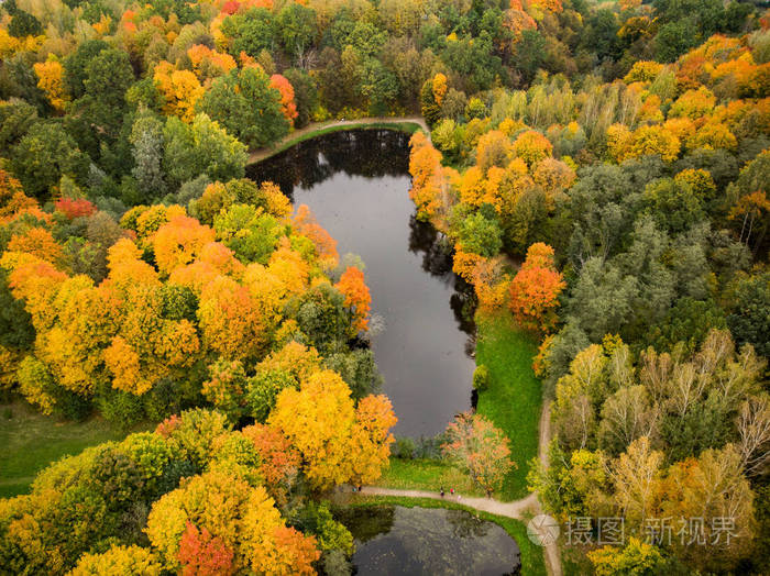 秋天的空中五颜六色的森林场景与橙色和黄色的叶子.