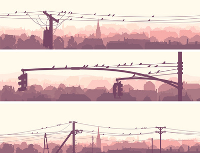 城市电力线路上的群鸟的水平横幅