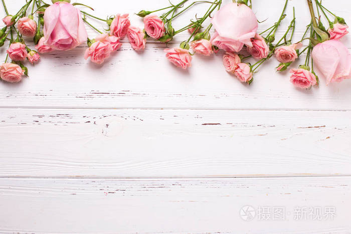 从粉红色的玫瑰花在白色的木质背景的边界。花静物。选择性对焦。从上面查看