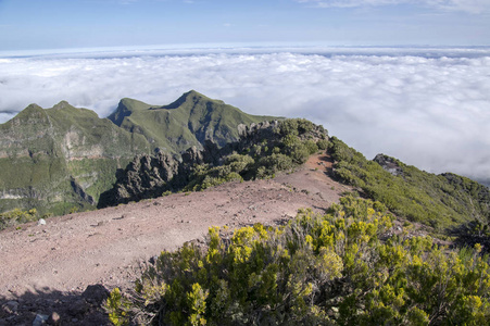 pico ruivo 徒步旅行, 在云层之上, 惊人的神奇景观, 令人难以置信的景色, 阳光明媚的天气与低云, 岛屿马德拉, 葡