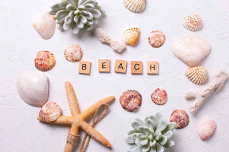 夏天的背景。海洋装饰和字海滩在白色纹理背景。海星, 贝壳, 珊瑚, 肉质 echeveria。海洋物体。选择性聚焦