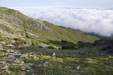 pico ruivo 徒步旅行, 在云层之上, 惊人的神奇景观, 令人难以置信的景色, 阳光明媚的天气与低云, 岛屿马德拉, 葡