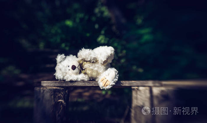 悲伤孤独的泰迪熊留在花园里