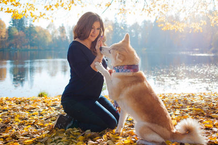 在散步与她的狗的年轻妇女的品种秋田 inu