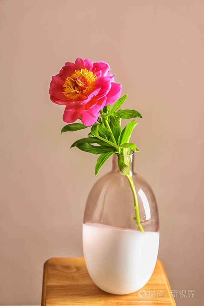 花瓶与美丽的牡丹花在桌子上对颜色背景