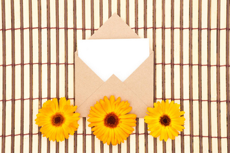 牛皮纸信封与空白信息和美丽的白色和橙色雏菊花