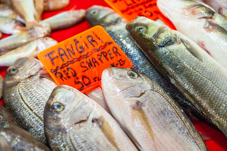 各种新鲜的鱼和海鲜鱼市场