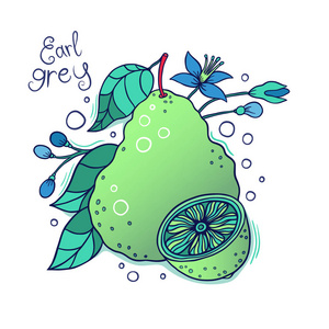 佛手柑矢量图照片