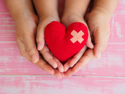 成人和儿童手持有红色心脏, 医疗保健, 爱, 器官捐赠, 家庭保险和 Csr, 爱和情人节概念