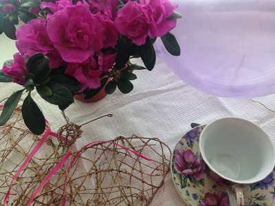 家舒适。杯和粉红色的杜鹃花花。平躺