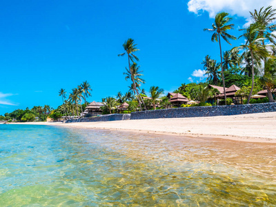 美丽的热带海滩和海与椰子棕榈树为旅行和假期