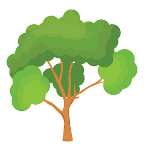 樟子松杨松林里火焰中希瑟在火森林火灾火焰和烟雾后面的火引擎水大