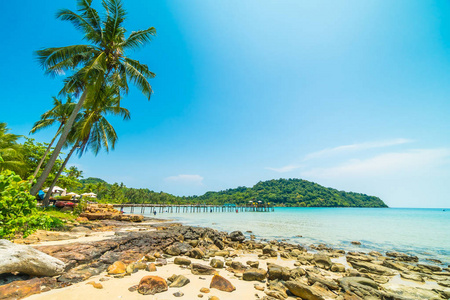 美丽的热带海滩和海与椰子棕榈树在天堂海岛为旅行和假期