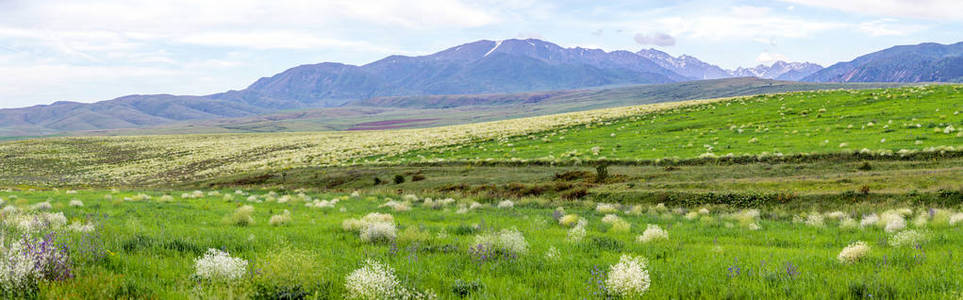 春天的春天开花的山和山的全景