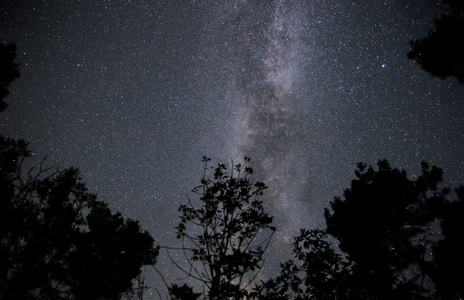 银河在夜空中越过森林
