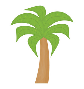 热带树, 叶子形状像一只手显示棕榈树