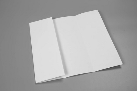 空白肖像 A4。小册子杂志孤立的灰色, 多变的背景白皮书孤立的灰色