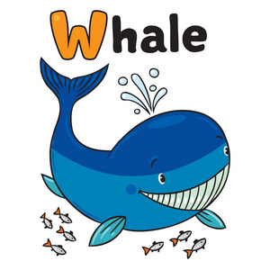 有趣的小鲸鱼.字母 w照片