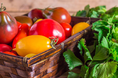 许多不同的番茄品种和芳香的草本植物在篮子里, 有机农产品在农民市场, 无色西红柿背景