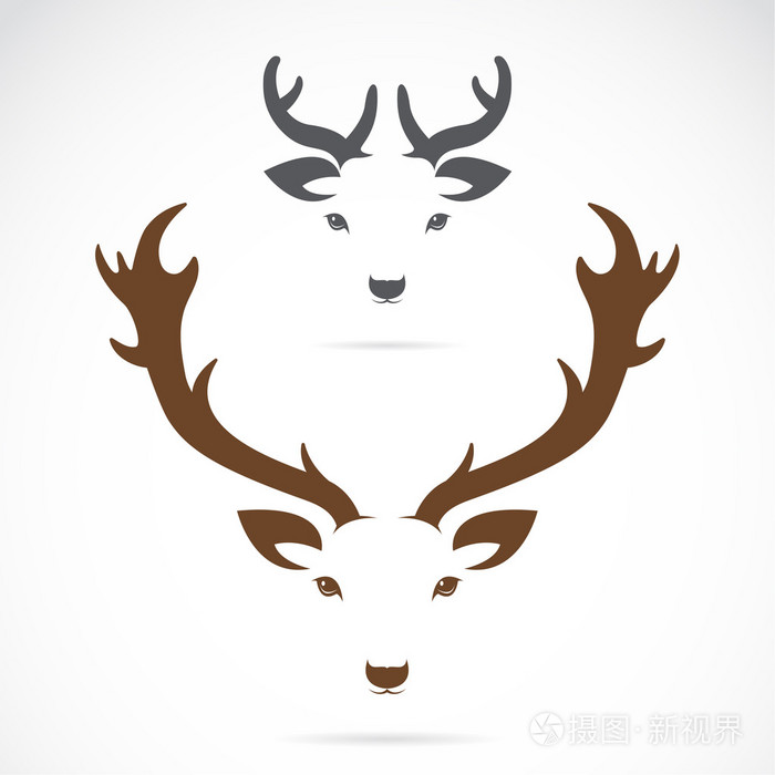 矢量图像的头在白色背景上的鹿