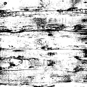 Grunge 木材覆盖纹理。黑白色的方形格式矢量图背景