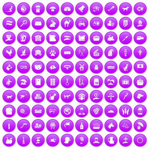 100个宠物图标设置紫色